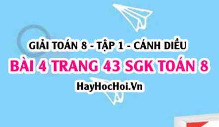 Giải bài 4 trang 43 Toán 8 Tập 1 SGK Cánh Diều